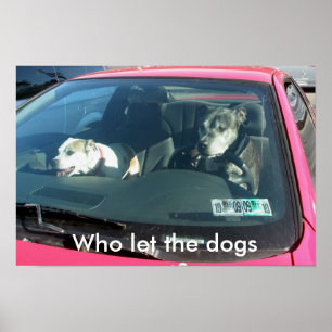Quem deixou os cachorros sair? Pôster