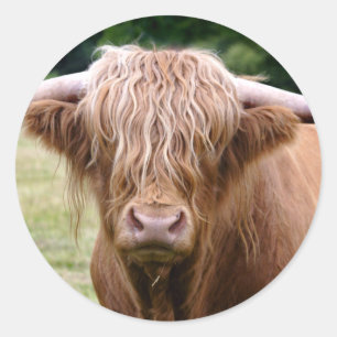 Quem desligou o adesivo das luzes