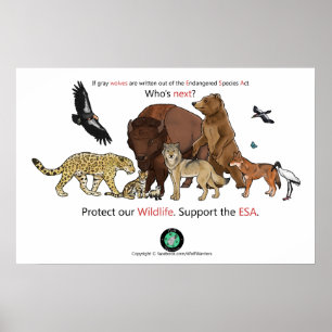 Quem é o próximo Poster