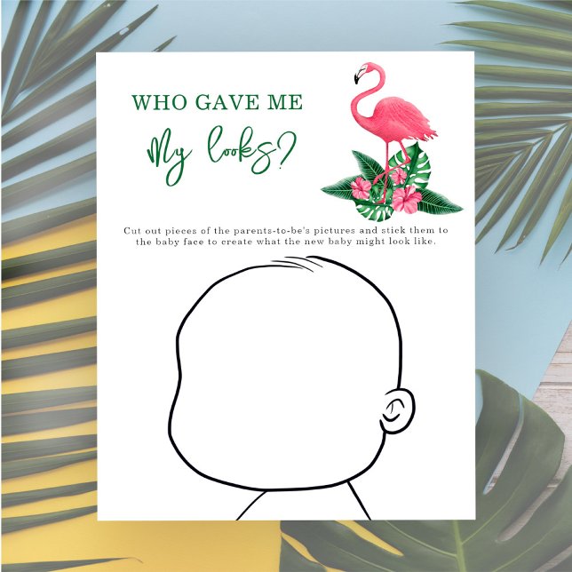 Quem me deu minha aparência? - Flamingo Rosa (Criador carregado)