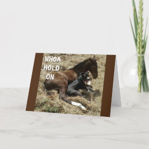 QUEM SEGURA PARA QUE POSSA DIZER CARTÃO DE ANIVERS