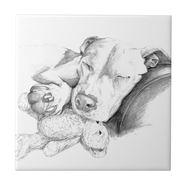 Quem tem telhados de vidro, não atira pedras aos (Frente)