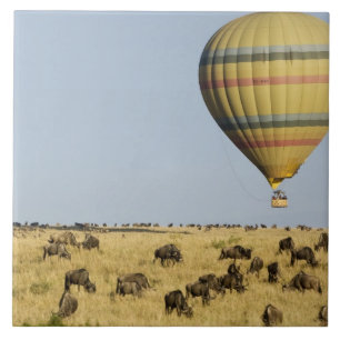 Quênia, Masai Mara. Turistas passeiam de balão de