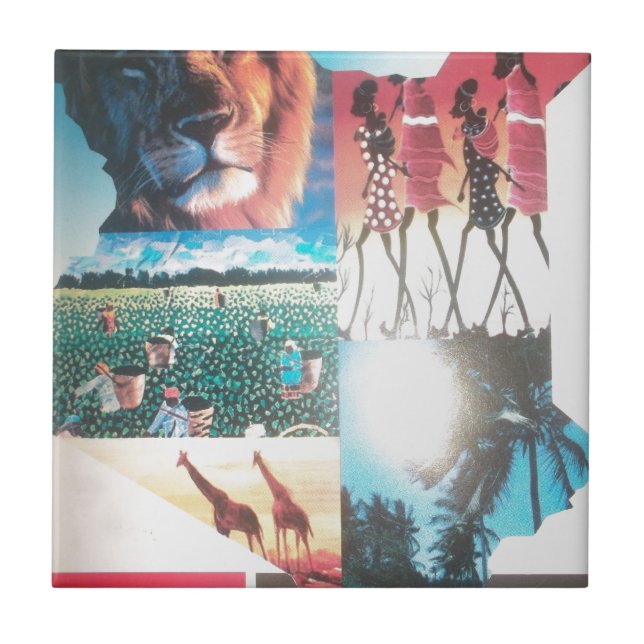 Quênia: Vida Selvagem, Cultura e Praia Costeira (Frente)