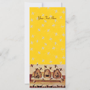 QUERIDA ABELHA, APIARISTA