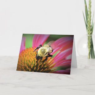 Querida Bebê no Coneflower, cartão