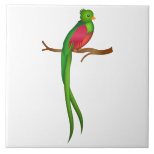 Quetzal