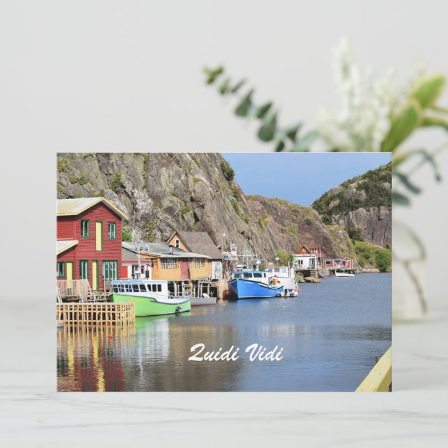Quidi Vidi, Terra Nova (Em pé/Frente)