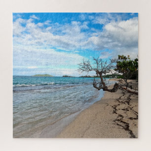 Quiet Beach - Rua Croix, USVI Quebra-cabeça