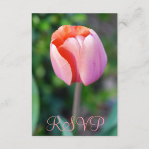 Quinceanera RSVP Pink Tulip 15 Aniversário