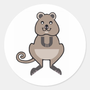 Quokka - adesivo redondo clássico