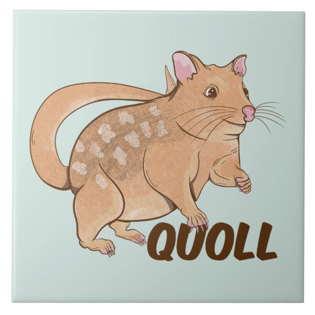 Quoll Marsupial Australiano (Frente)