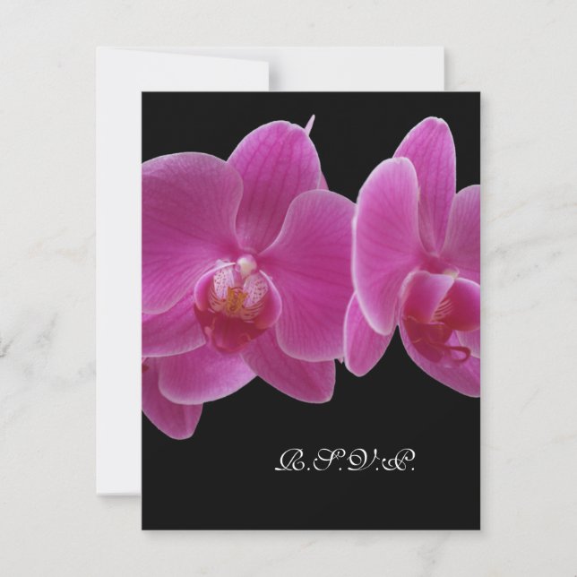 R.S.V.P. Sem Convite de Cardápio para Convite 5 x  (Frente)