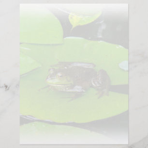 Rã-grande em Lilypads