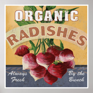 Rabanetes orgânicos Poster