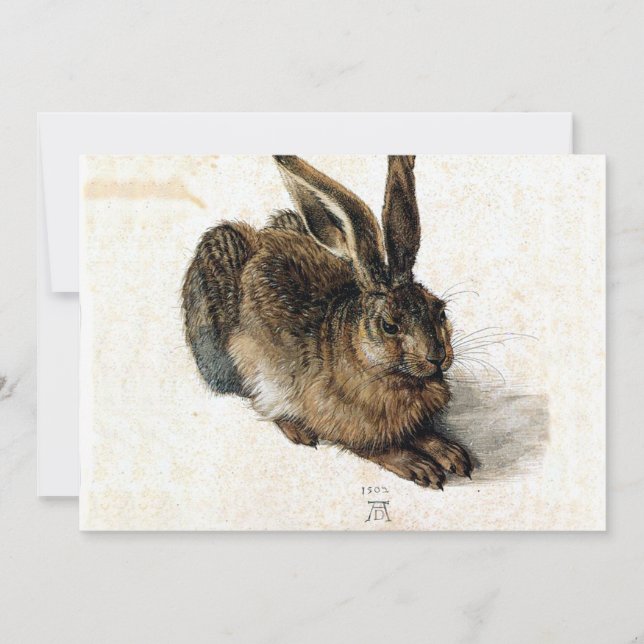 Rabbit Hare in the Snow - Durand (Frente)