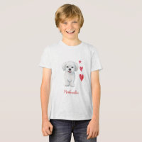 Raça de Brinquedos de Cão Maltês