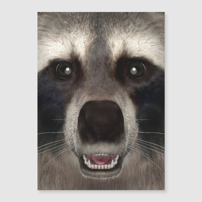Raccoon (Frente)