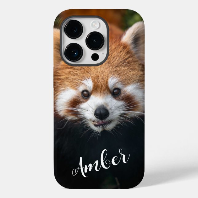 Raccoon (Verso)