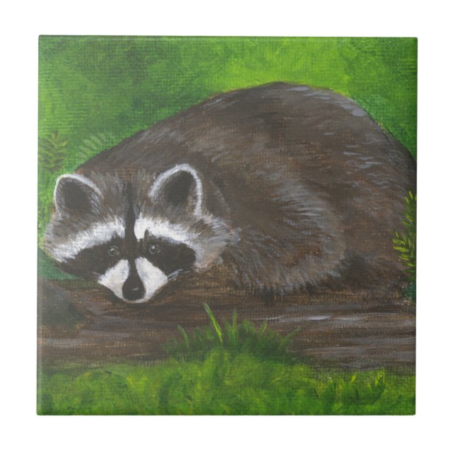 Raccoon (Frente)