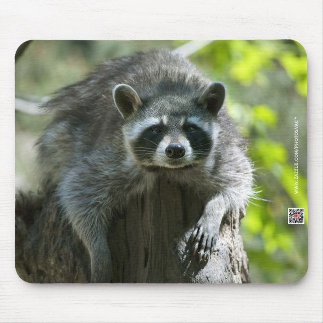 Raccoon Mousepad (Frente)