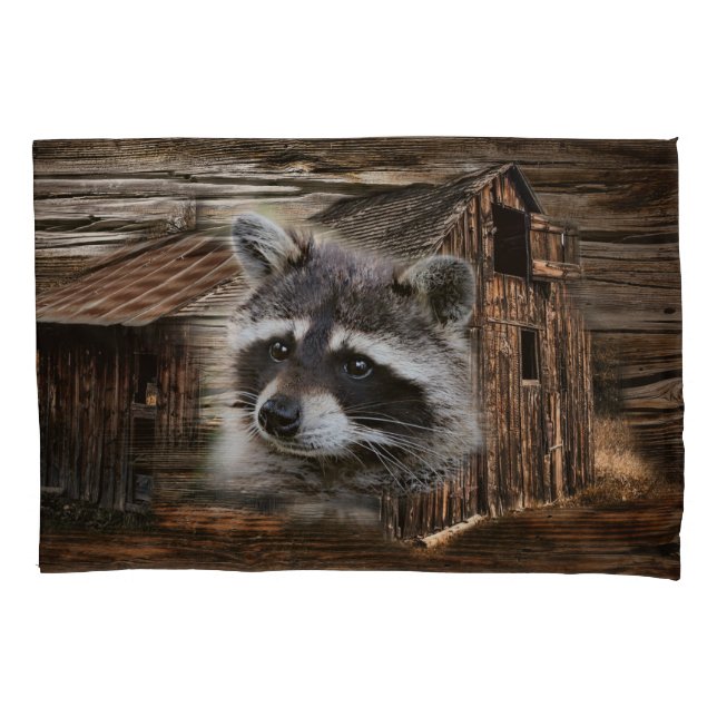 Raccoon No Velho Barn (Frente)