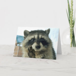 Raccoon - só para dizer oi - cartão de saudação