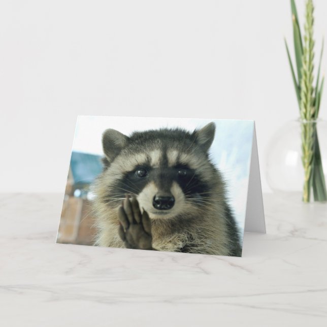 Raccoon - só para dizer oi - cartão de saudação (Frente)