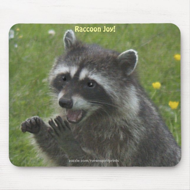 RACCOON WILDLIFE Felicidade Mousepads (Frente)