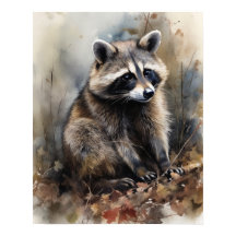 Raccoon Woodland Impressão