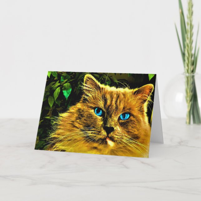 Ragdoll Cat, cartão (Frente)