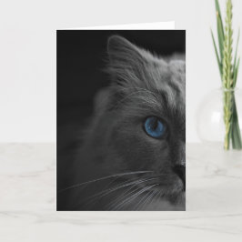Ragdoll Cat, cartão