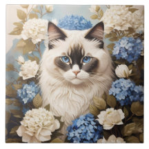 Ragdoll Cat Com Flores De Hydrangea Azuis