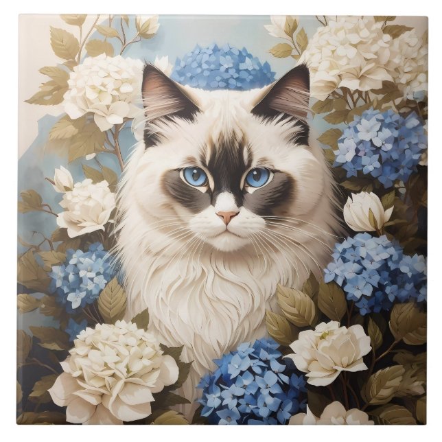 Ragdoll Cat Com Flores De Hydrangea Azuis (Frente)