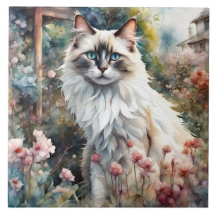 Ragdoll Cat no jardim inglês