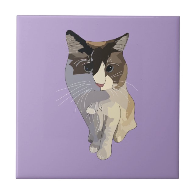 Ragdoll cat, Purple (Frente)