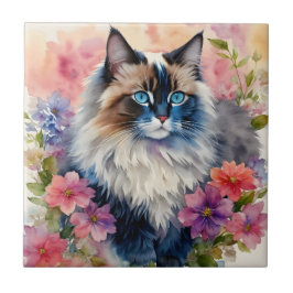 Ragdoll Cat Retrato Floral