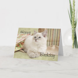 Ragdoll com cartão de aniversário de gingalas