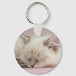 ragdoll kitten chaveiro