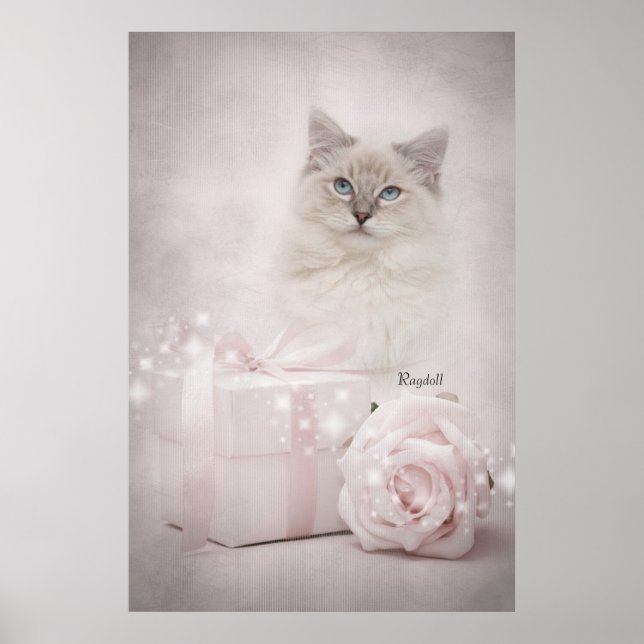 Ragdoll Poster (Frente)