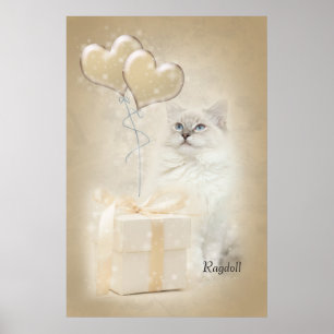 Ragdoll poster