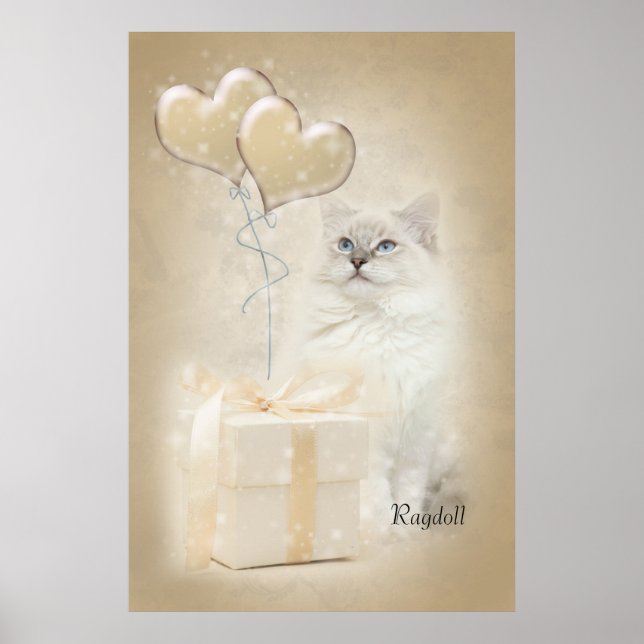 Ragdoll poster (Frente)