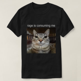 Rage Está Me Consumindo Camisa De Meme Gato