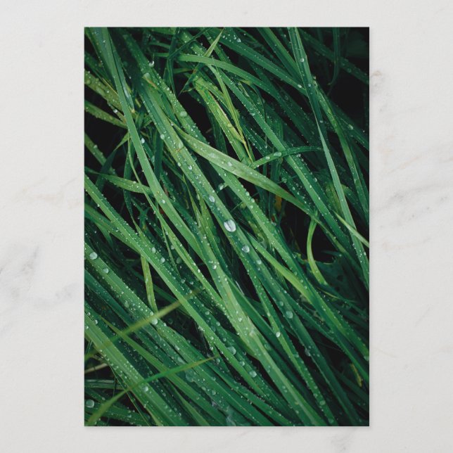 Rain drops on grass, Earth Day Card (Frente)