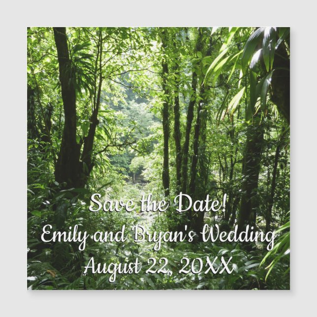 Rain Forest II Tropical Verde (Frente)