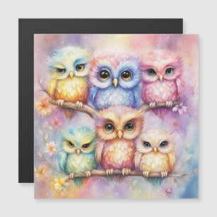 Rainbow Birds Ows 3