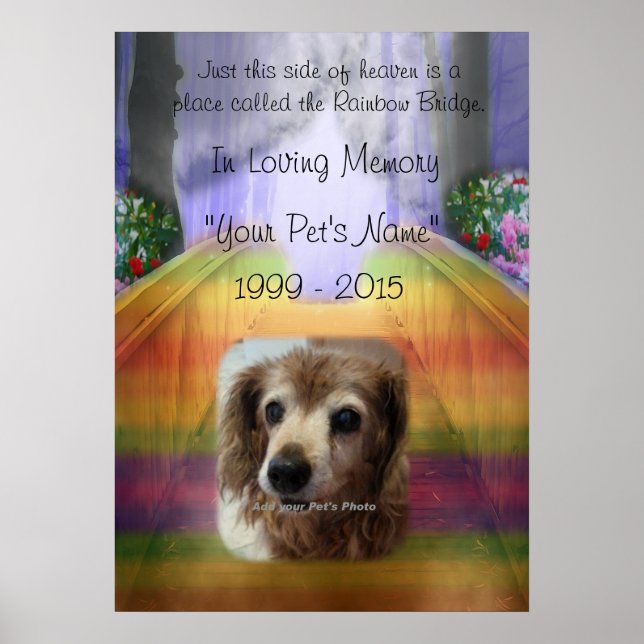 Rainbow Bridge Pet Memorial - Na memória Poster (Frente)