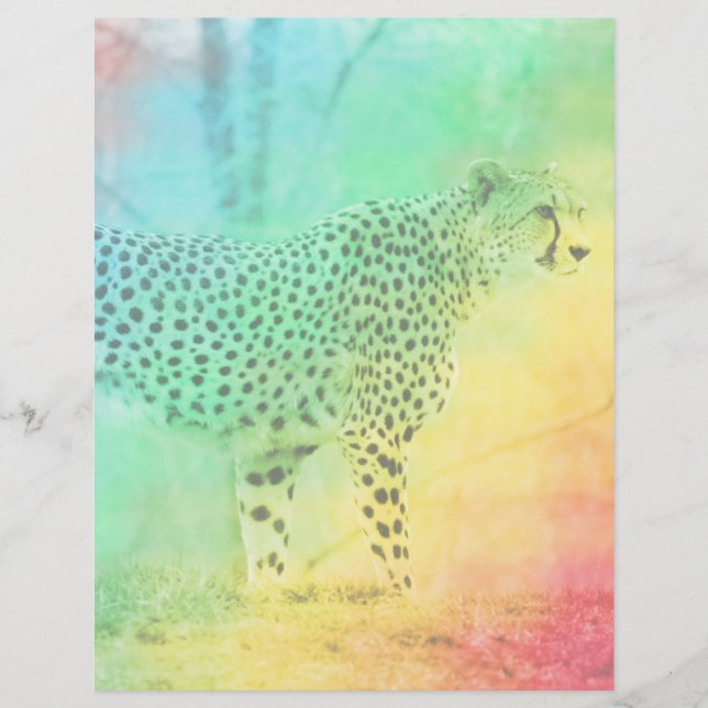 Rainbow Cheetah (Frente)