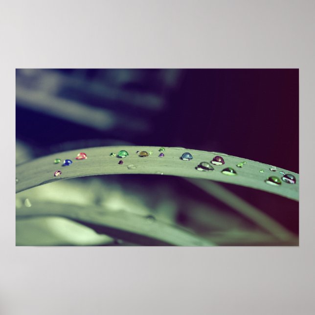 Rainbow Drop Poster / Framed Impressão (Frente)