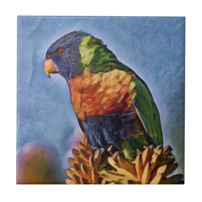 Rainbow Lorikeet Parrot Bird (Frente)